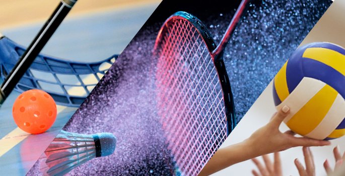 Badminton ball hockey and volleyball